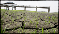 Drought exposes shore line, leaving the docks high & dry. 