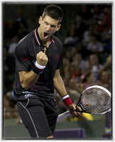 Novak Djokovic jubos