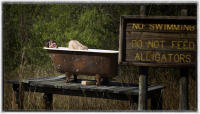 Florida everglades fashion photo session. 