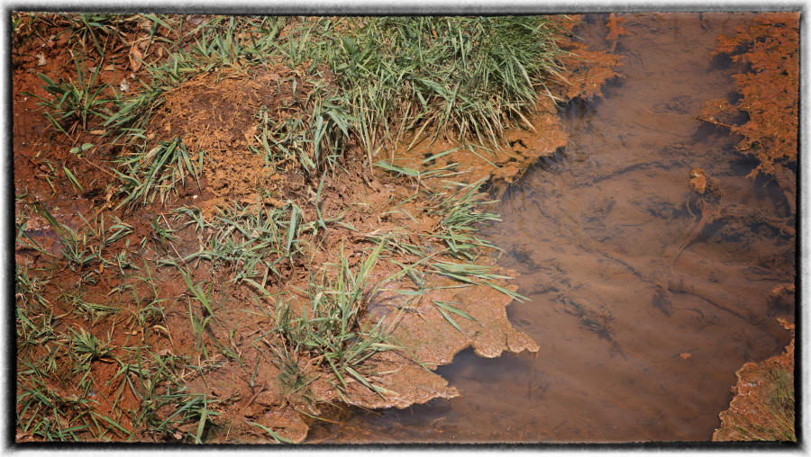 Tar Creek turned red in the 1970s from the heavy metal runoff coming from the old mines. : Tar Creek  : Oklahoma City Editorial and Documentary Photographer 