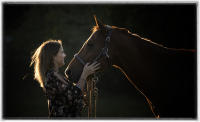 Equine photo session