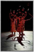 Two Fort Sill Apache youths, one blind, the other crippled, were left in a mountain cave after their tribe was attacked. After several days, fearing death,  a voice told them to build a fire and then jump over it. The voice said they would be healed and saved. The Fire Dance became  the dance of the mountain spirit. 