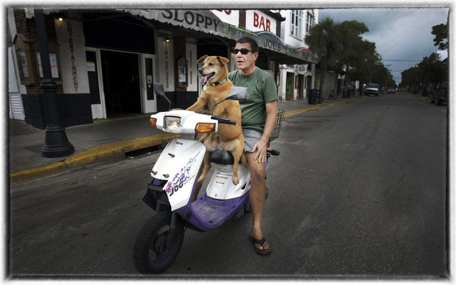 A dog and his master survey Key West before a hurricane comes ashore. Many argue canine companions can offer comfort and ease worries.  : Wildlife Encounters & Sightings : Oklahoma City Editorial and Documentary Photographer 