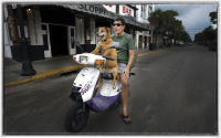 A dog and his master survey Key West before a hurricane comes ashore. 