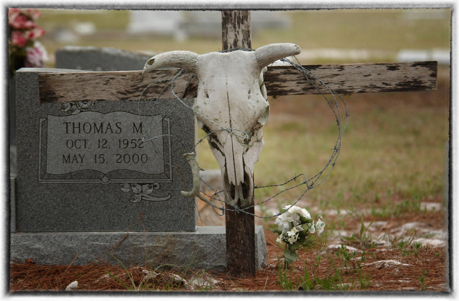 A Florida cemetery. : Wildlife portraits : Oklahoma City Editorial and Documentary Photographer 