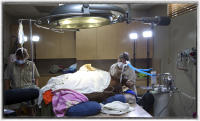 A worker comforts Peanut as she undergoes cancer treatment. 