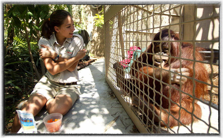 Experts have been using sign language and other methods to communicate with apes.  : Wildlife Encounters & Sightings : Oklahoma City Editorial and Documentary Photographer 
