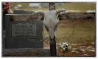 Oklahoma saved the Texas Longhorn. 