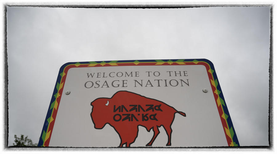 "Buffalo is the original climate regulator" reports Troy Heinert, a Sicangu Lakota tribe member and director of the Intertribal Buffalo Council.  : Bison & other vanishing  animals - renaissance : Oklahoma City Documentary Photographer 