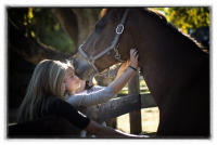 Florida horse photo session. Stay goodbye.  