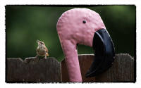 Birds of a feather. 