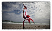 Pink flamingos giving a holiday greeting 